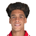 Axel Witsel