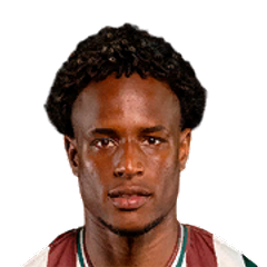 Diney Borges
