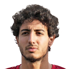 Mohamed Hany