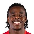 Nathan Ngoy