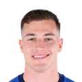 Luka Sucic