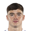 Findlay Curtis