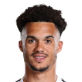 Antonee Robinson