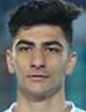 Amirmohammad Razzaghinia